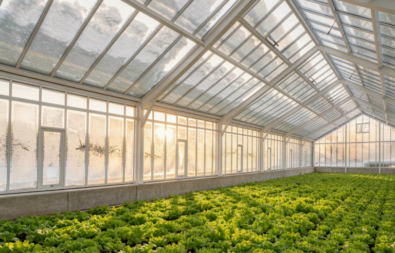 sneeuwdruk kassen glastuinbouw